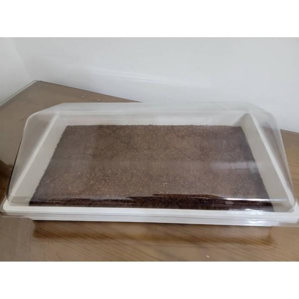 三角厚低悶箱蓋 - 圖 4