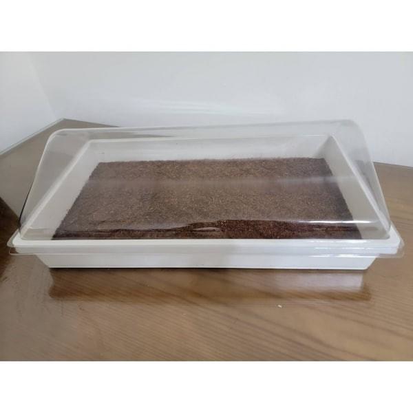 三角厚低悶箱蓋 - 圖 5