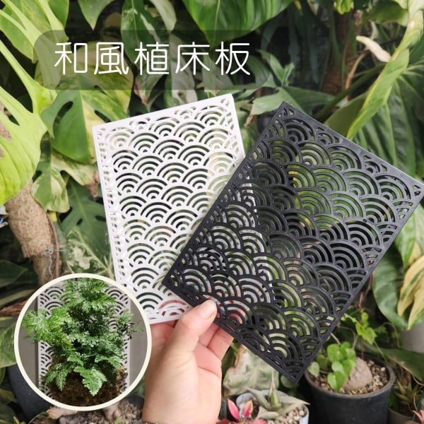 和風植床板 - 圖 2