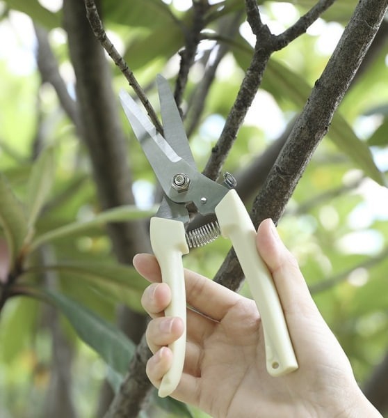 園藝剪刀 - 圖 2