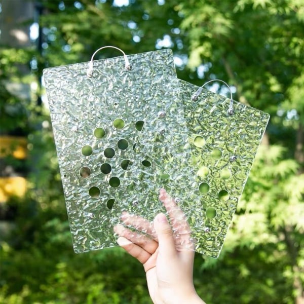 壓克力鹿角蕨板