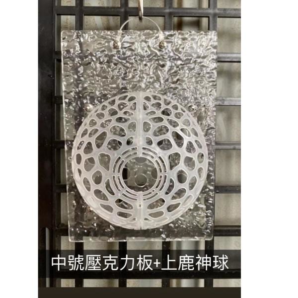 壓克力鹿角蕨板 - 圖 3