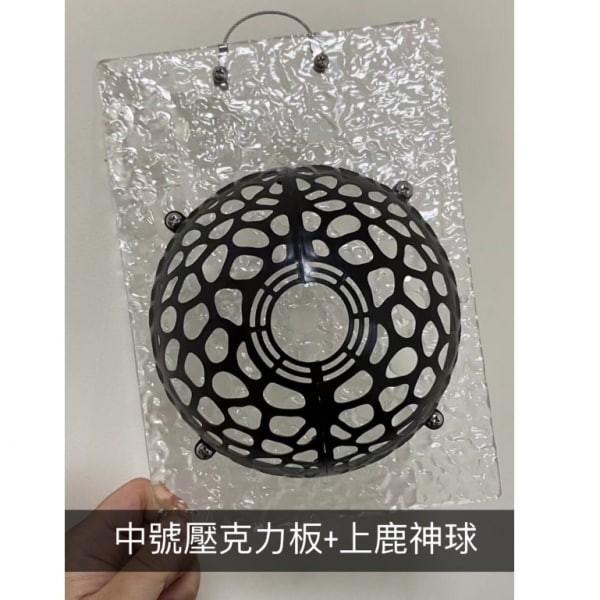 壓克力鹿角蕨板 - 圖 5