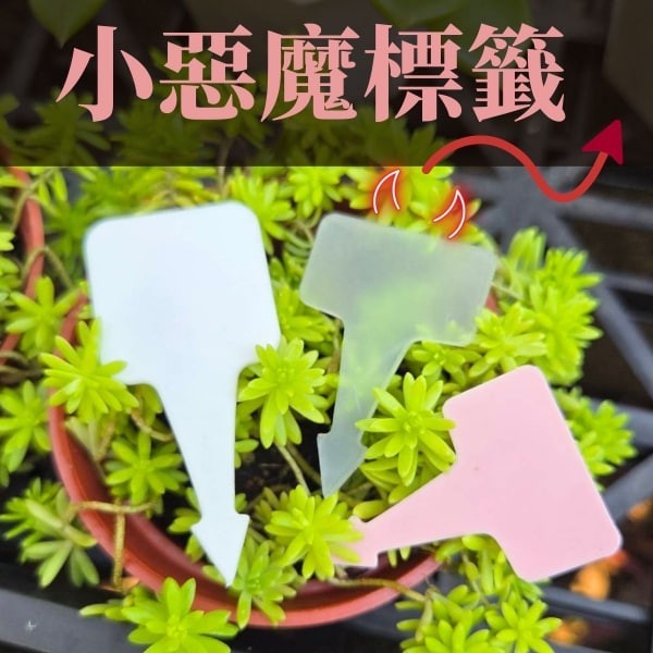 小惡魔標籤 花牌 - 圖 2