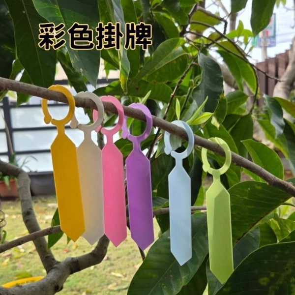 彩色掛牌 花牌 吊牌