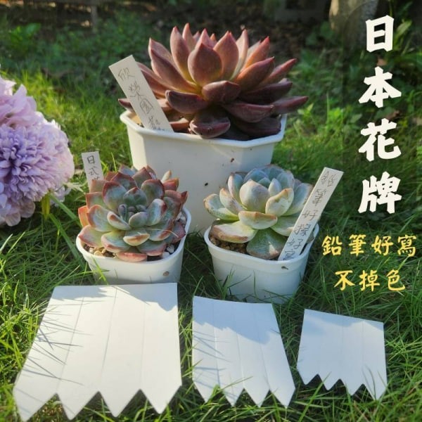 日本花牌 一綑（2000片)賣