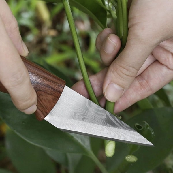 果樹嫁接刀 - 圖 3