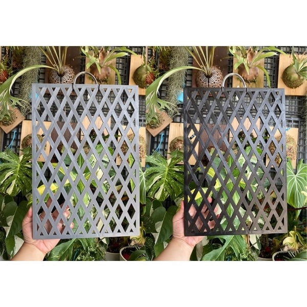 植床板/菱形板 - 圖 3