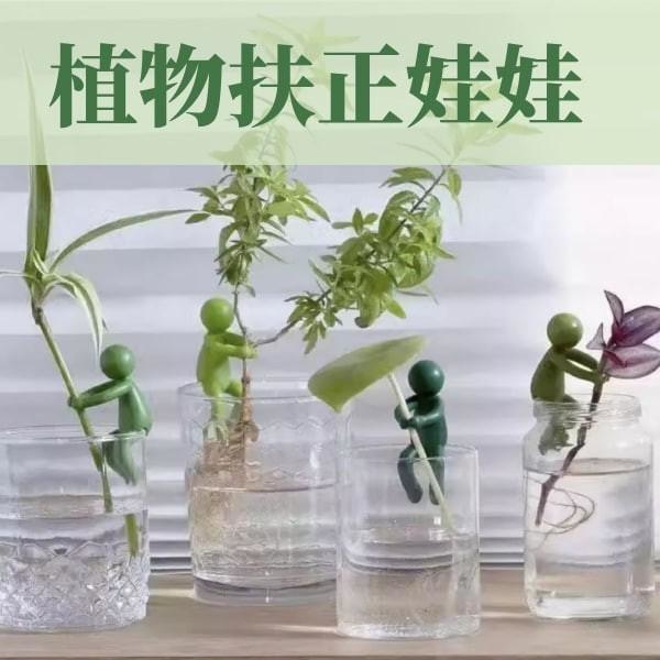 植物扶正娃娃
