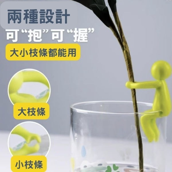 植物扶正娃娃 - 圖 5