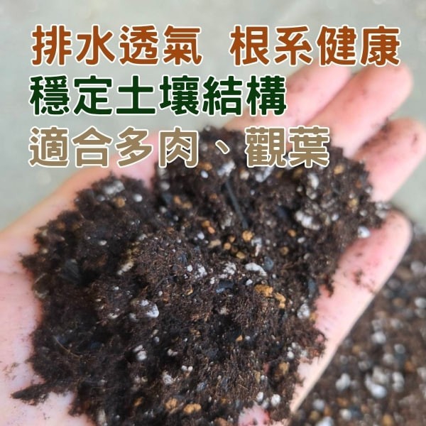 白礦砂泥炭土 - 圖 2