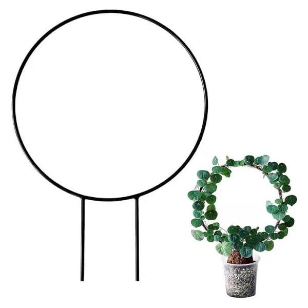 綠植爬藤架 支撐架 攀爬架 山烏龜支架 - 圖 2