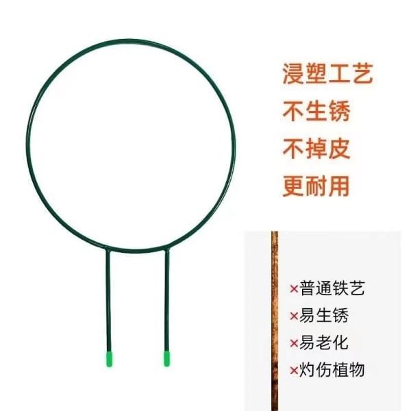 綠植爬藤架 支撐架 攀爬架 山烏龜支架 - 圖 3