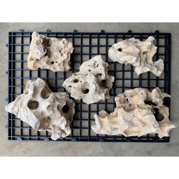 美國咕咾石/珊瑚石 1公斤/數量隨機 - 圖 3