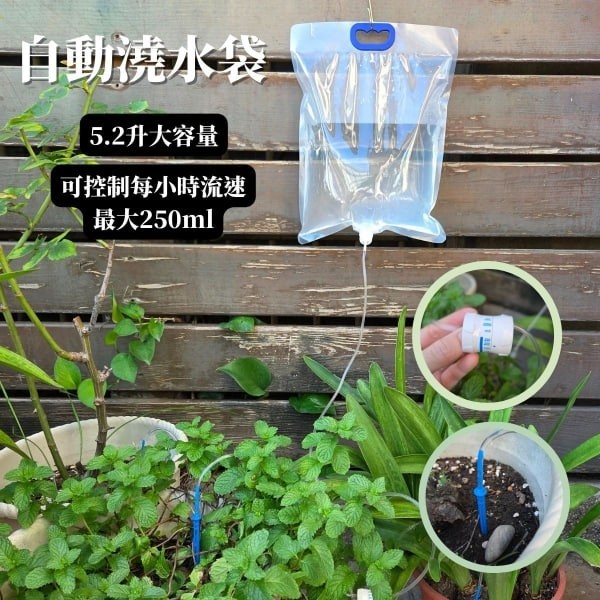 自動澆水袋 大容量 5.2L - 圖 2